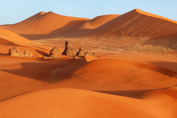 ALGERIE - SAHARA - TRADART