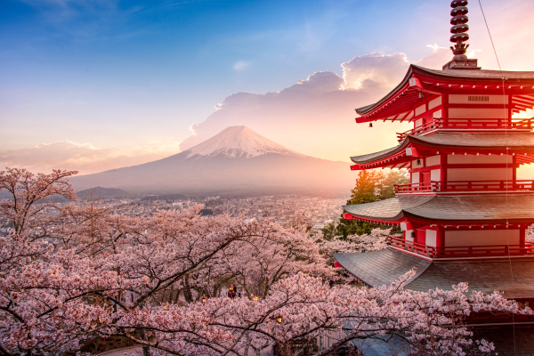 JAPON MONT FUJI 2